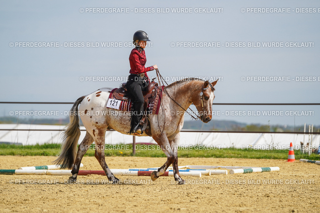 DSC04393 | Pferdegrafie