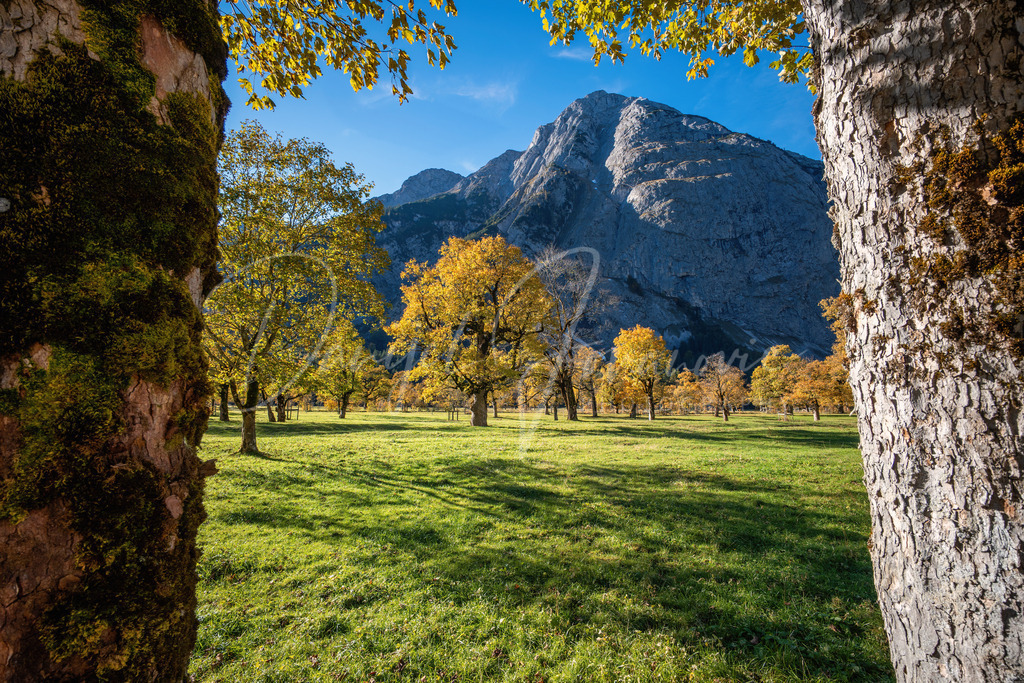 Großer Ahornboden | Herbst am Großen Ahornboden