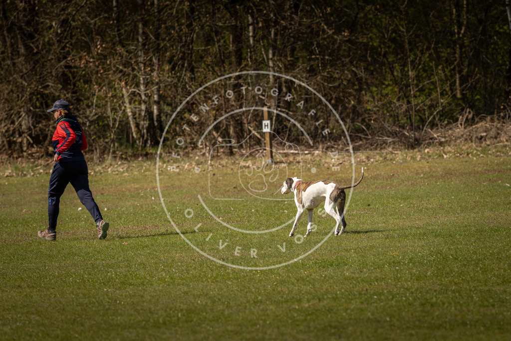Pfotenfotografie_DV3A0737 | Hundefotografie, Tierfotograf, Pfotenfotografie, Fotoshooting Hund, Hunde Portrait, Hundesport, Hundeportraits, Heideshooting, Hunde, Sportfotograf, Hundefotograf, Turnierhundsport, THS,  - Realisiert mit Pictrs.com