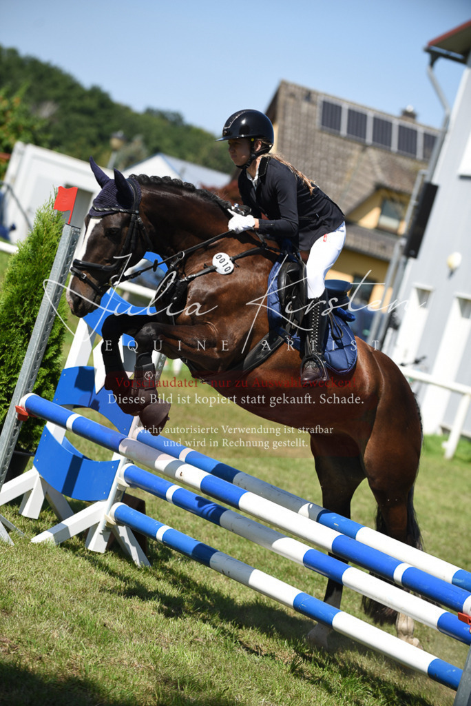 DSC_9585 | Pferde- und Turnierfotografie in Westsachsen. Pferdeportraits, Auftragszeichnungen und intuitive Kunst.