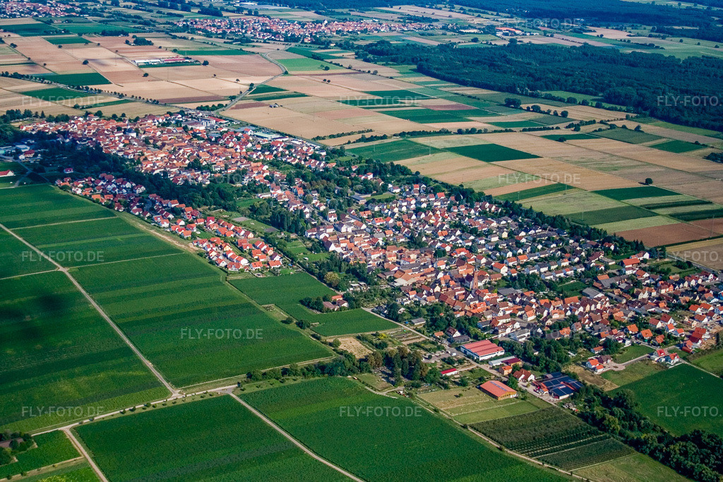 Luftbild: Ortschaft von Westen im Ortsteil Niederhochstadt in Hochstadt im Bundesland Rheinland-Pfalz in Deutschland. Foto: IMG_12606.jpg vom 17.08.2008 durch Werner Riehm/FLY-FOTO.de