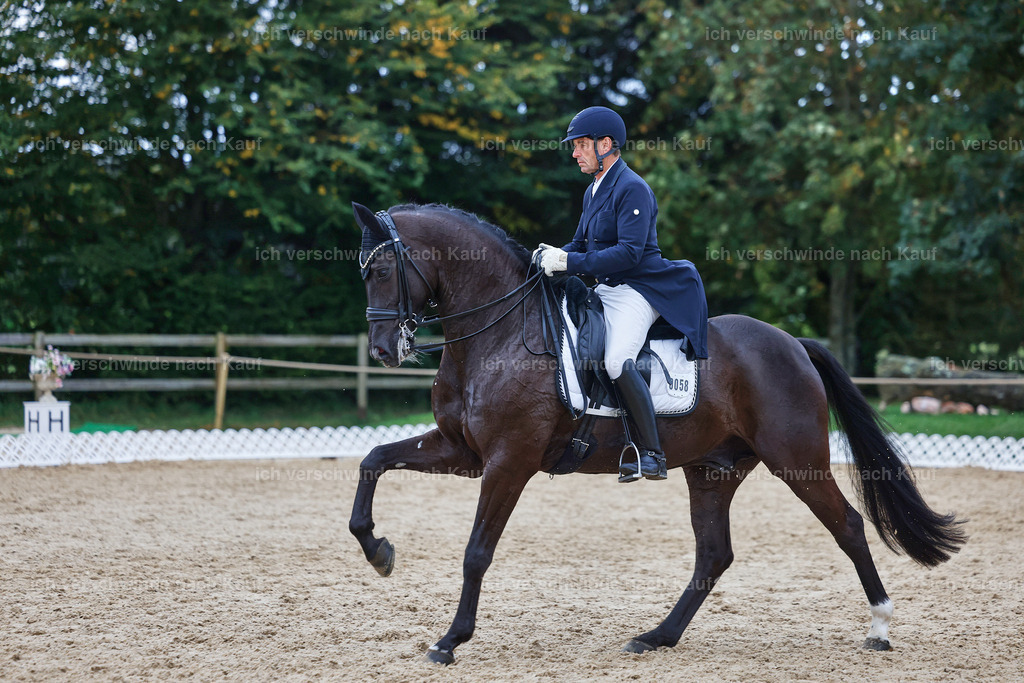 12-058-DRESSUR  S___  -StoibPH-5369 | working equitationturnier fotograf videograf stoibphotography marixx film working equitation deutschland reitsport turnierfotografie eventfotografie equestrian events