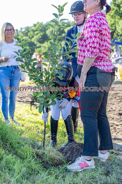 Ehrung (532 von 693) | mandyhollmannphotographie