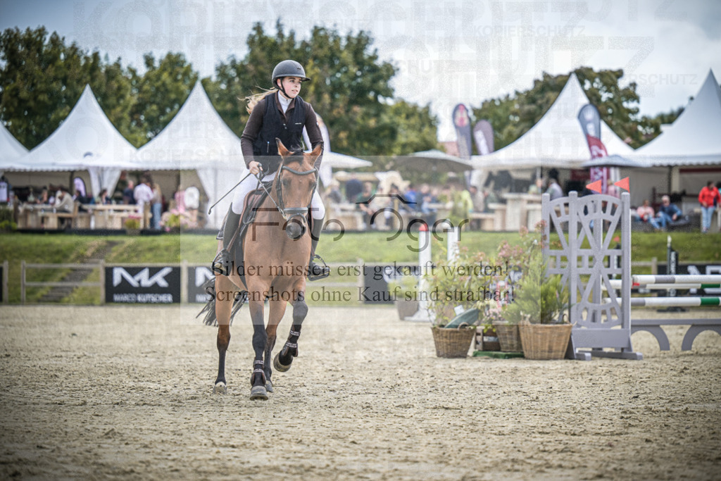 DOS_0448 | Entdecke hochwertige Reitturnierfotos von Foto Oger. Professionell, emotional und authentisch – jetzt Lieblingsmomente im Shop bestellen.Deutschlandweite Turnierfotografie. - Realisiert mit Pictrs.com