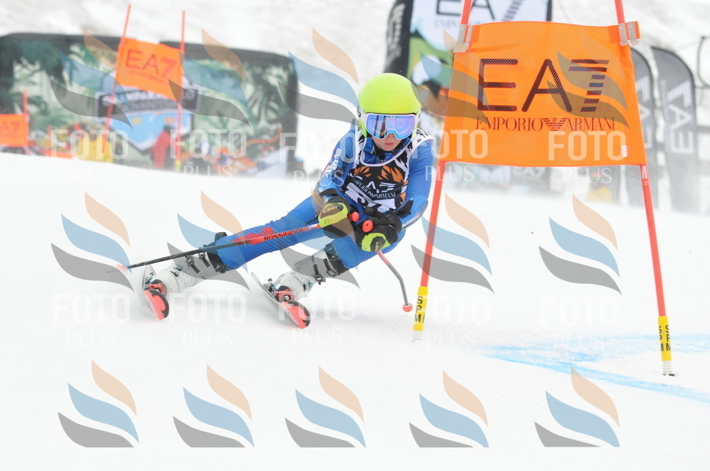 DSC_8854 | holidayphoto