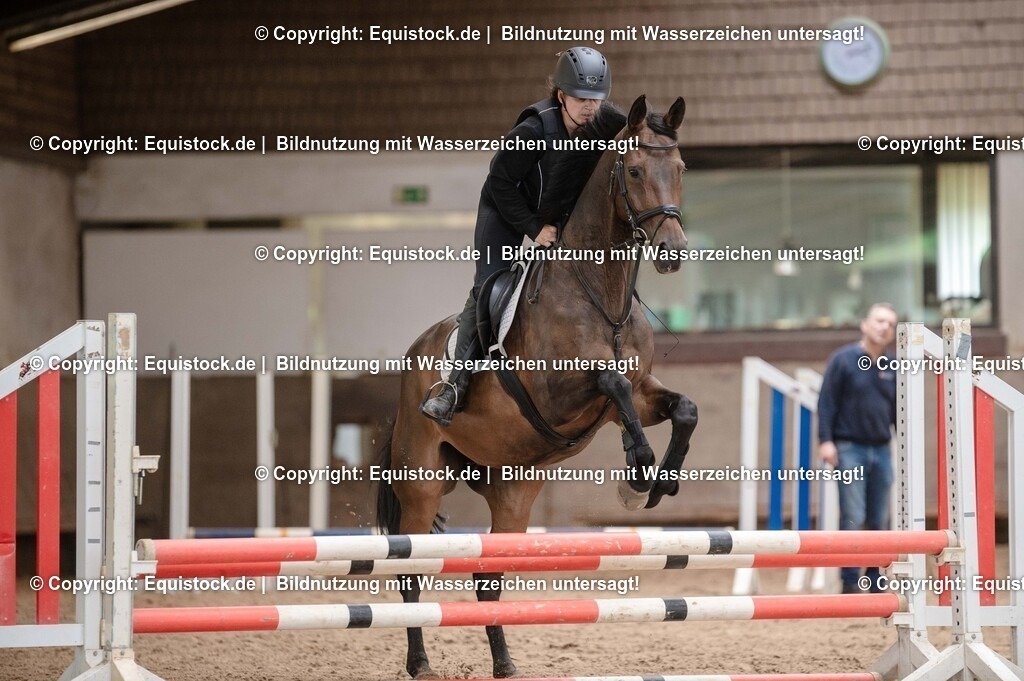 20250725_Vielseitigkeitslehrgang-Marbach_0062 | Foto: Thomas Hartig