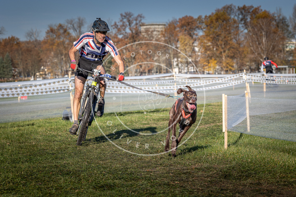 CaniXpix_0L8A4541 | Hundefotografie, Tierfotograf, Pfotenfotografie, Fotoshooting Hund, Hunde Portrait, Hundesport, Hundeportraits, Heideshooting, Hunde, Sportfotograf, Hundefotograf, Turnierhundsport, THS,  - Realisiert mit Pictrs.com
