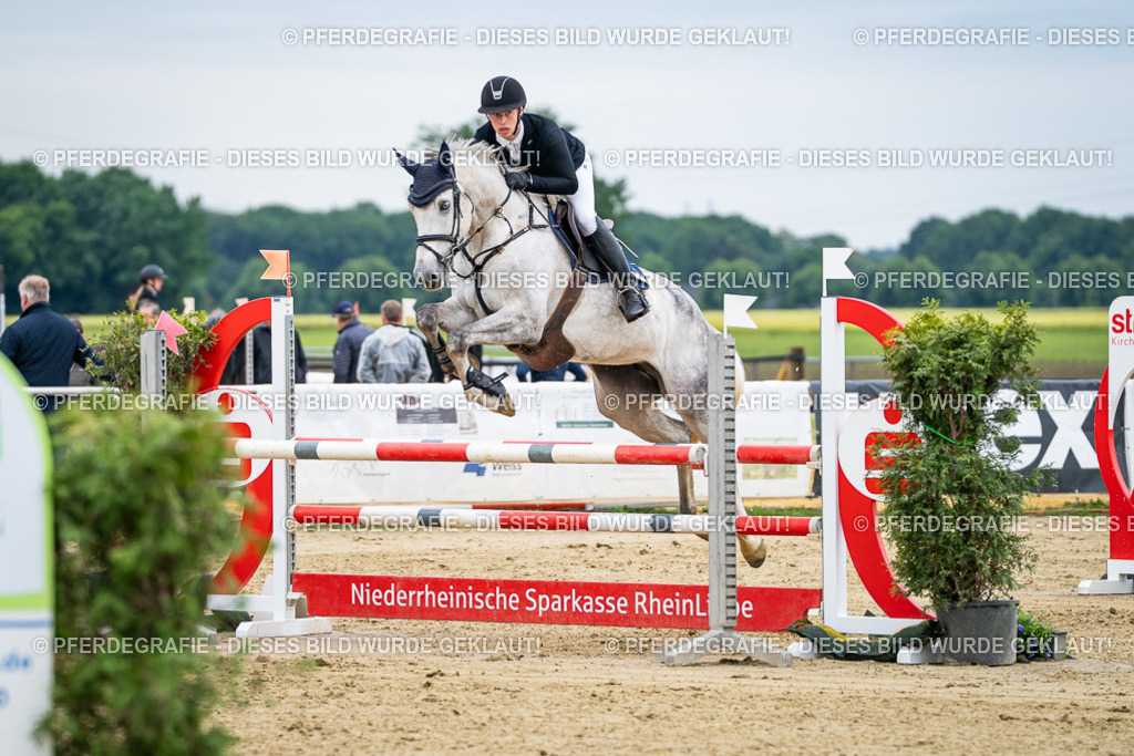 DSC06111 | Pferdegrafie