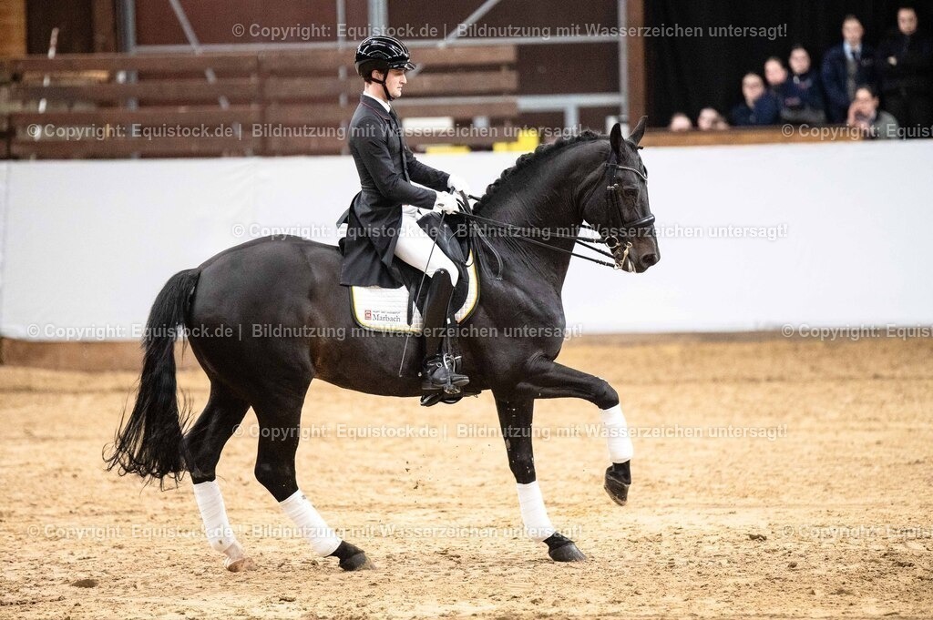 20260307_Hengstvorstellung-Marbach_0500 | equistock