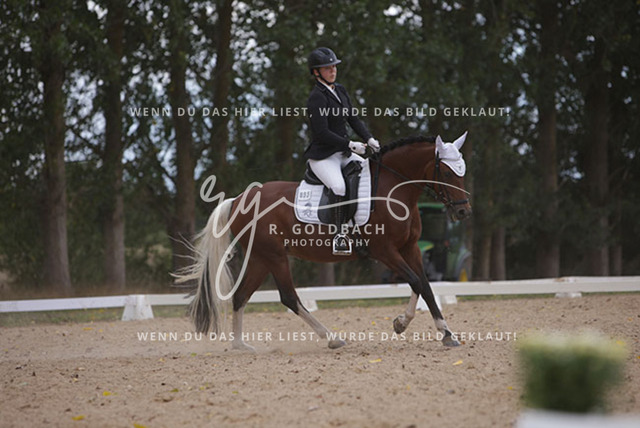 1J2A0972Charlotte Fehr_ Ikon 16_ Kn061_ Wöpkendorf_ Annalena Beier_ Quinn M_ Kn095 | Foto- und Videografie für alles rund ums Pferd. Hochwertige Bilder und Videos vom Spring- und Dressurreiten, Voltigieren & mehr. Jetzt aktuelle Veranstaltungen und Preise im Shop ansehen. - Realisiert mit Pictrs.com