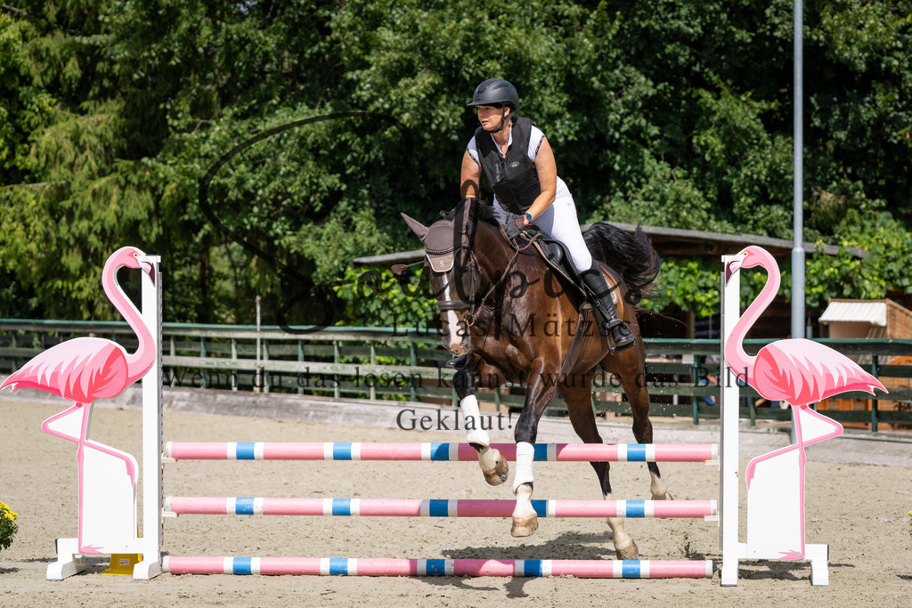 A7V07347 | Turnier/Reitfotograf