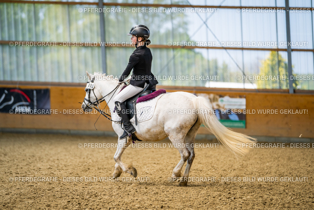 DSC02611 | Pferdegrafie