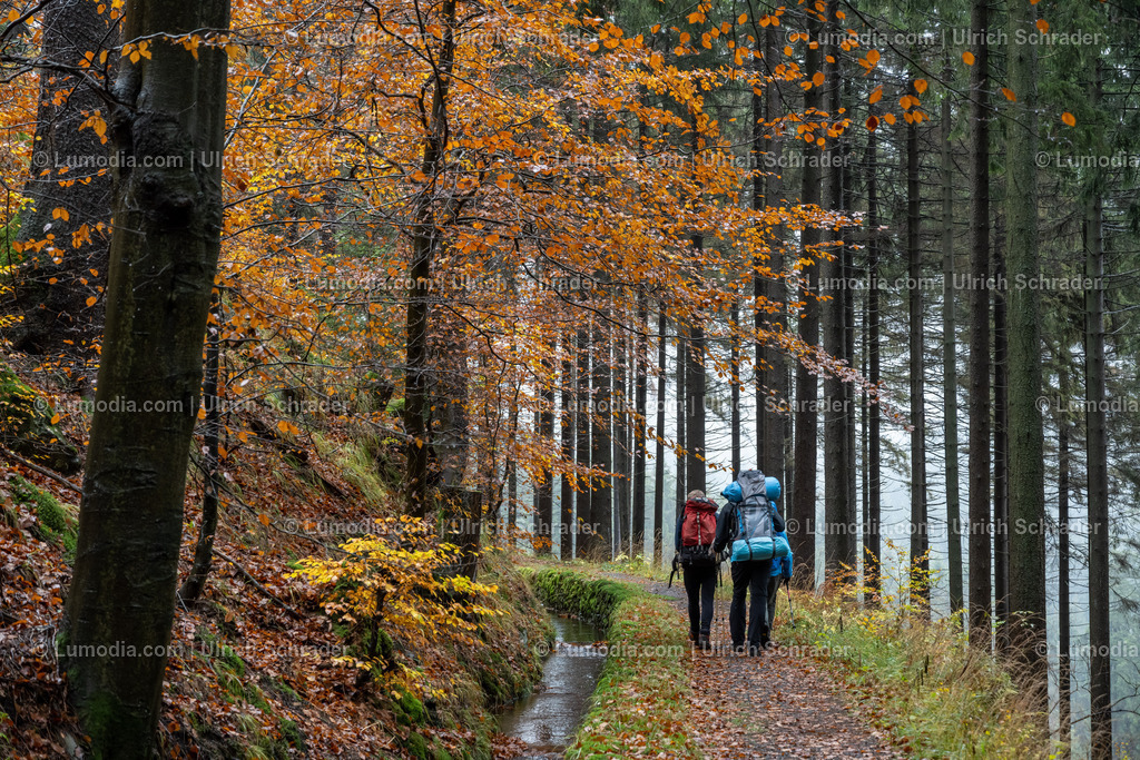 10049-11357 - Unterwegs im Westharz | max. Auflösung 8256 x 5504 - Realisiert mit Pictrs.com