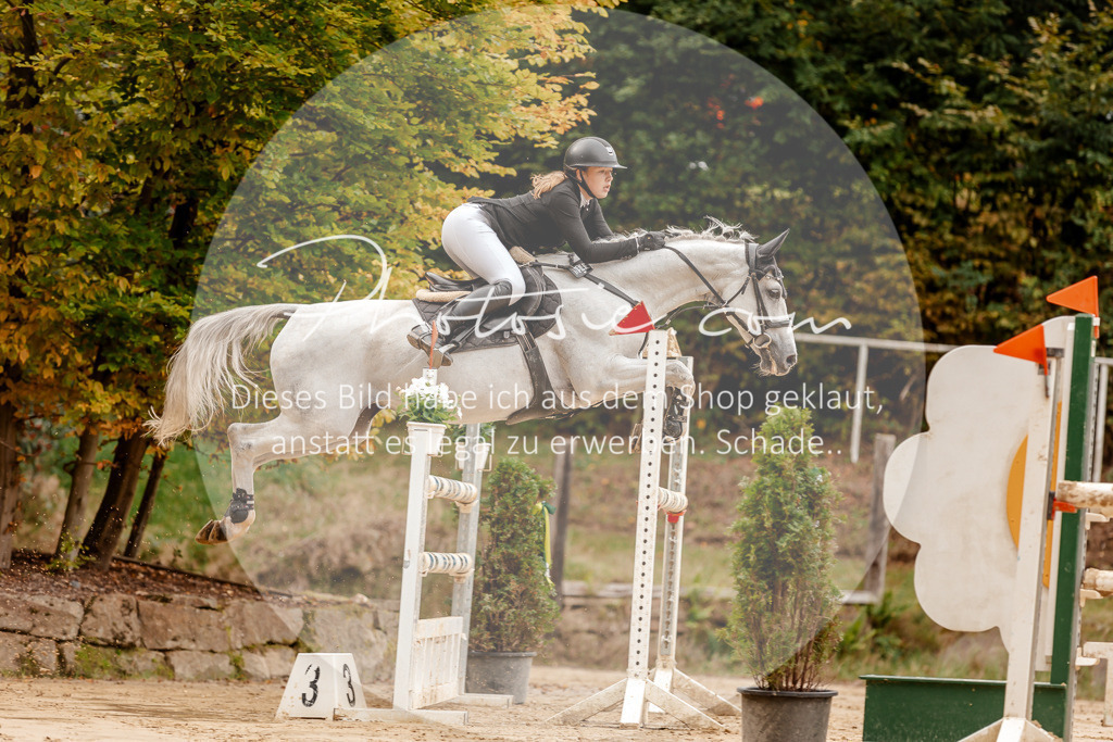 3I6A8020 | Stimmungsvolle Portraits und Reitsportfotografie im Ruhrgebiet und im Münsterland.

Pferdefotografie, Hundefotografie, Tierfotografie, Reportagen, Portraits von Tier und Mensch, Turnierfotografie in Bochum, Recklinghausen, Marl, Haltern am See, Dülmen.. - Realisiert mit Pictrs.com