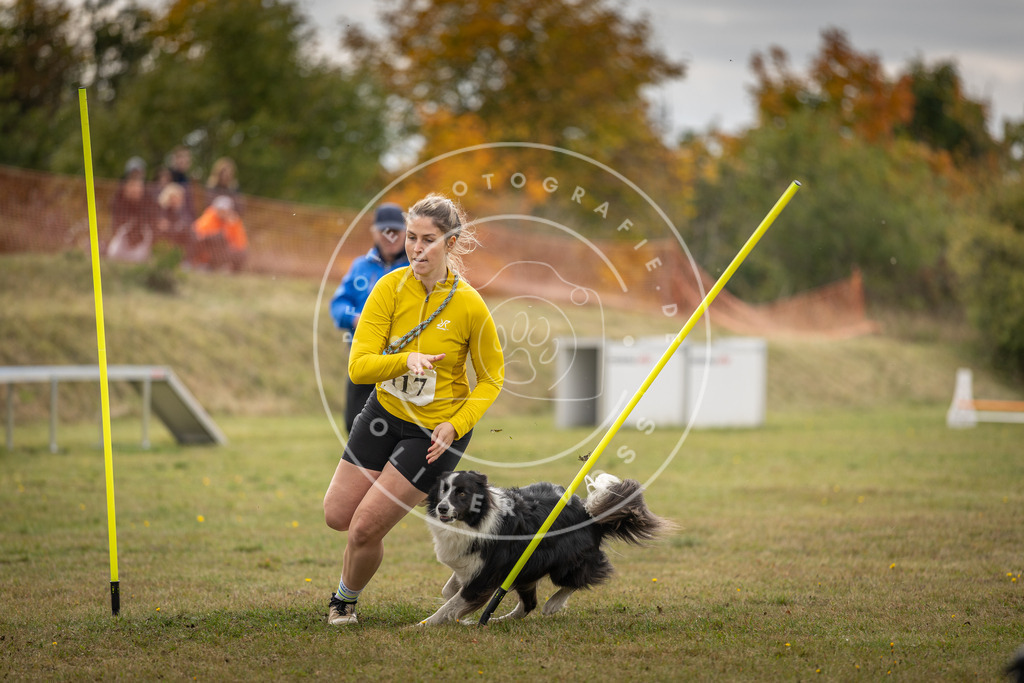 Pfotenfotografie_DV3A6966 | Hundefotografie, Tierfotograf, Pfotenfotografie, Fotoshooting Hund, Hunde Portrait, Hundesport, Hundeportraits, Heideshooting, Hunde, Sportfotograf, Hundefotograf, Turnierhundsport, THS,  - Realisiert mit Pictrs.com