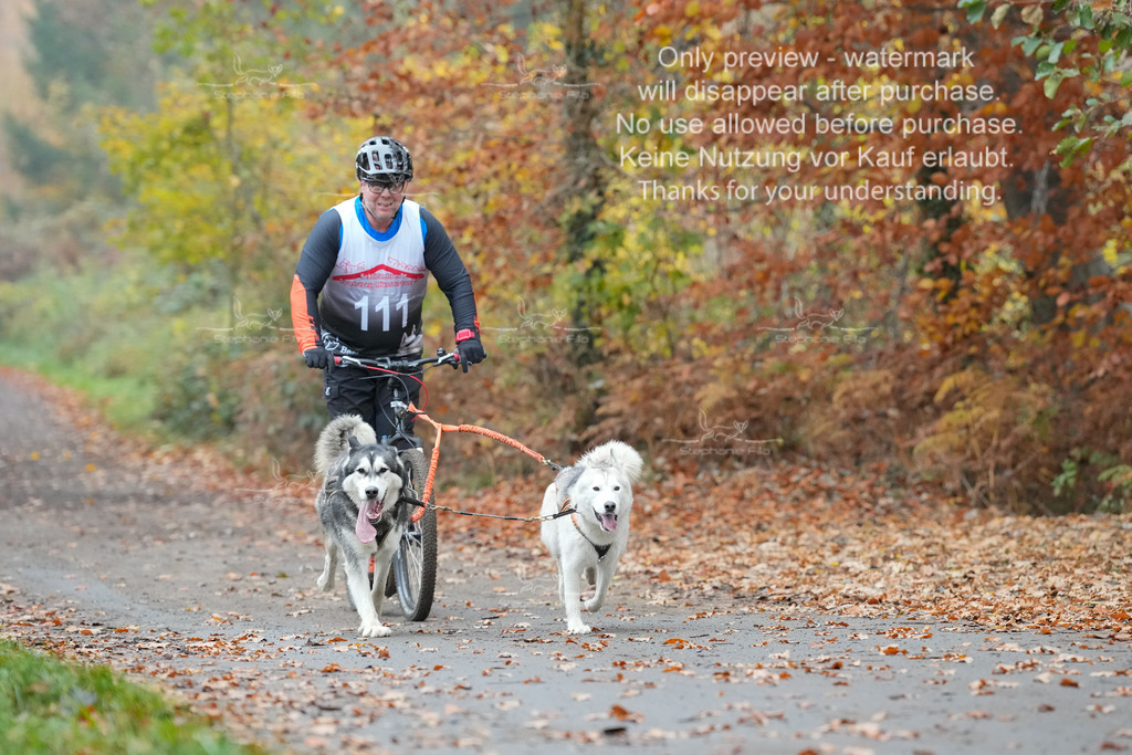 ScooterRigs2dogs_So-29 | stephaniefillaphotographie - Realisiert mit Pictrs.com