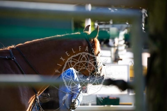 2B4A0073 | pixelfaenger - Realisiert mit Pictrs.com