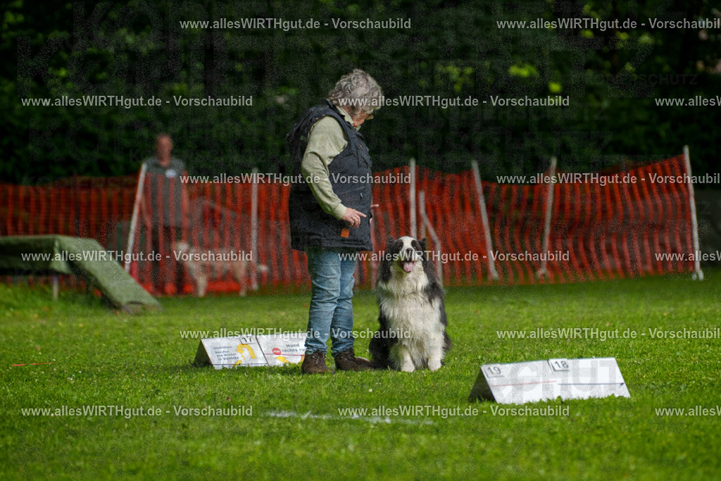 @allesWIRTHgut_Tierfotografie - www.allesWIRTHgut.de - 7R502757 | Professionelle Tierfotografie in Mönchengladbach von Daniel Wirth (allesWIRTHgut). Liebevolle & natürliche Bilder von Hunden & Katzen für unvergessliche Erinnerungen.