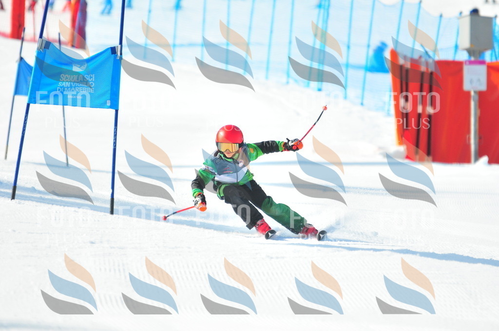 B8685 | holidayphoto