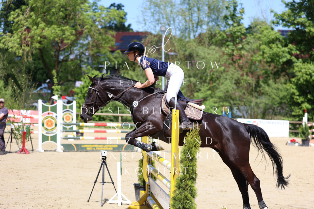 IMGS8144 | pl-fotografie