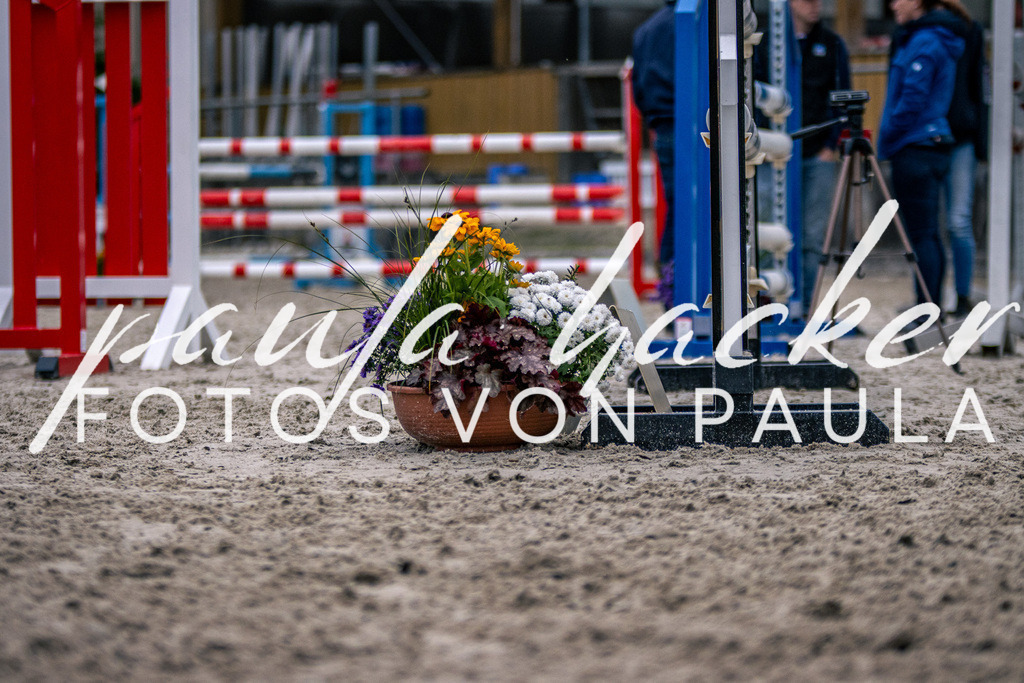 IMG_6294 | Erleben Sie dynamische Sport- und emotionale Tierfotografie in Süddeutschland mit Fotos von Paula. Spezialisiert auf Pferde- und Hundefotografie sowie Sportevents. Kontaktieren Sie mich für einzigartige und ausdrucksstarke Bilder Ihrer besonderen Momente.