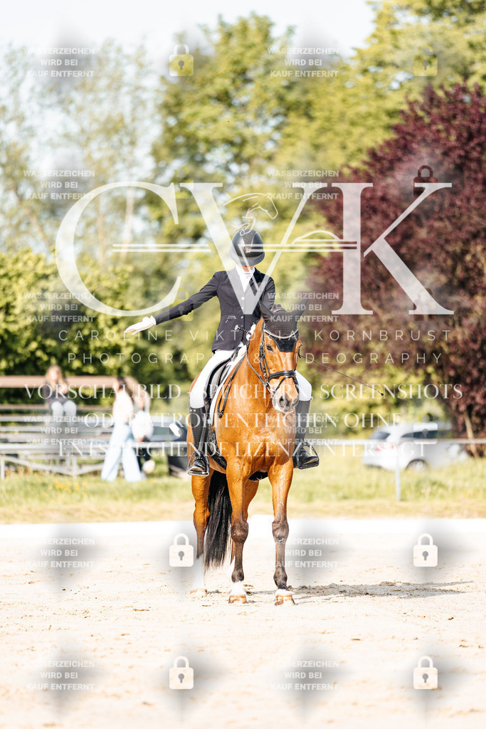CK900110 | Turnierfotografie Pferdefotografie Trier Rheinland-Pfalz Pferdesport Reitsport Tierfotografie Sportfotografie Pferdevideo Pferdevideografie Equestrianvideography equestrianphotography  - Realisiert mit Pictrs.com