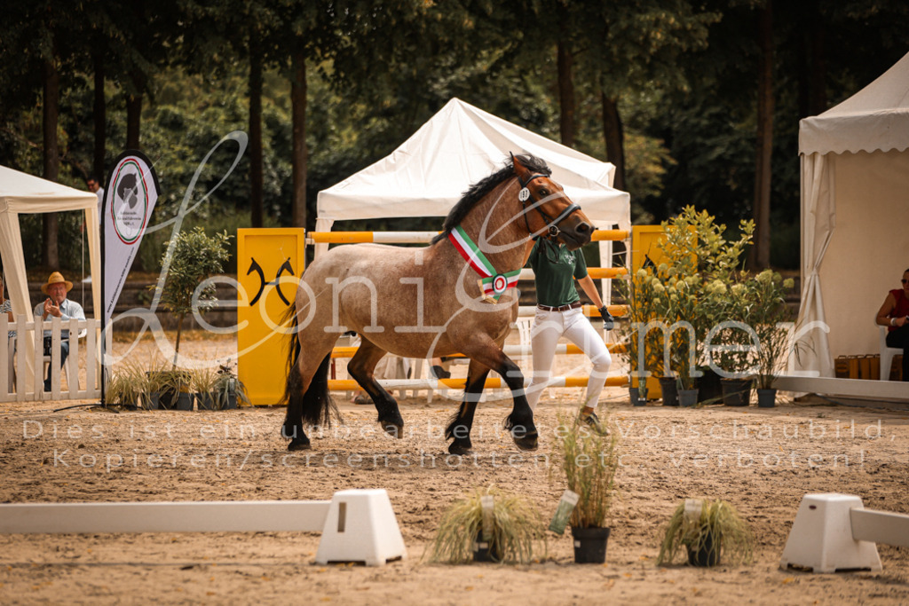 SaSieger00072 | Leoni Ertmer Photography - Realisiert mit Pictrs.com