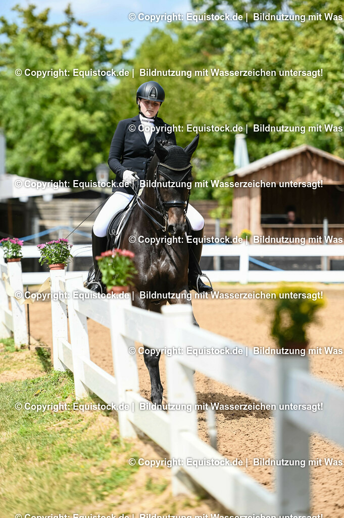 20230716_01_Dressurprüfung Kl.M_0111 | equistock