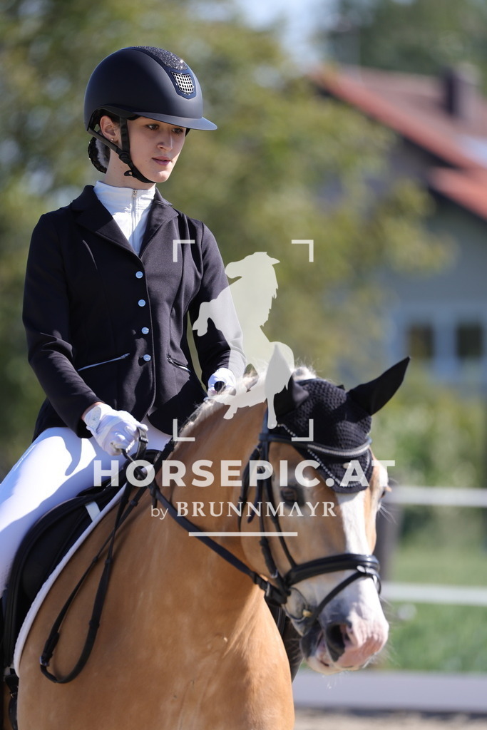 0P6A7615 | Willkommen bei Brunnmayr - Design & Fotografie – Ihrem Spezialisten für Reitturniere und Pferdeveranstaltungen in Oberösterreich, Salzburg und Bayern! Seit über 17 Jahren sind wir leidenschaftlich dabei.