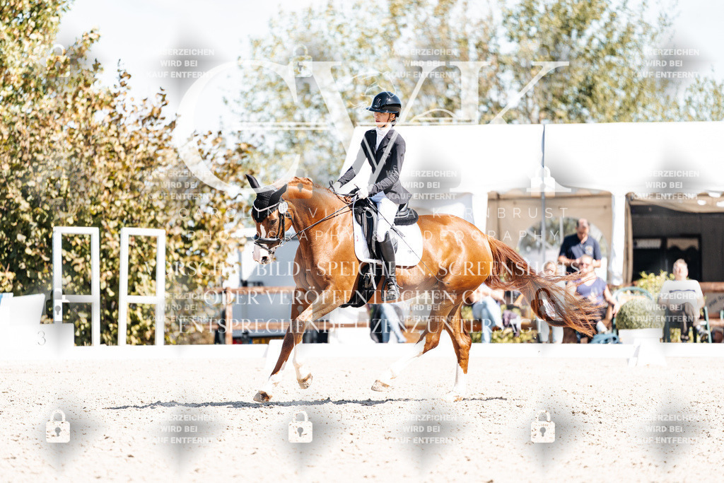 CK904076 | Turnierfotografie Pferdefotografie Trier Rheinland-Pfalz Pferdesport Reitsport Tierfotografie Sportfotografie Pferdevideo Pferdevideografie Equestrianvideography equestrianphotography  - Realisiert mit Pictrs.com