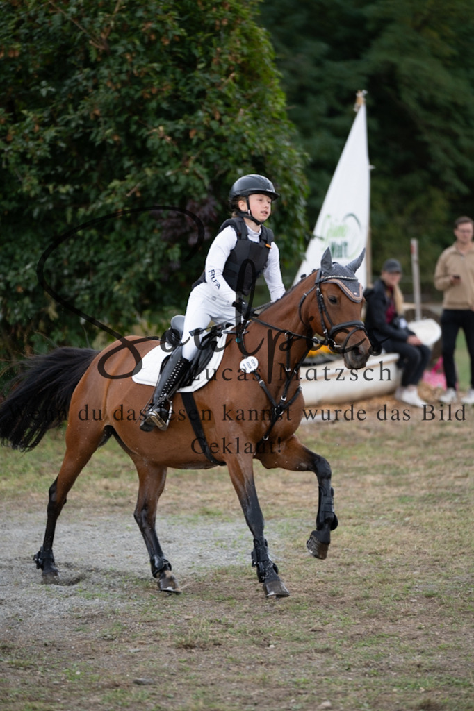 A7V01456 | Pferdefotograf