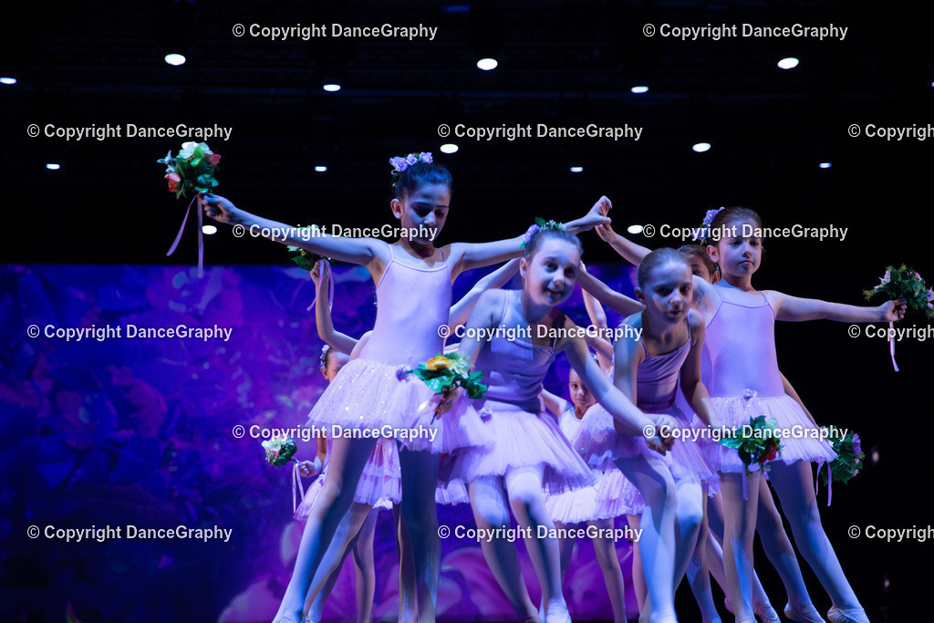 GPHY4859 | DanceGraphy - Realisiert mit Pictrs.com