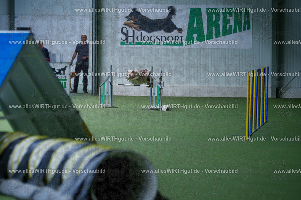@allesWIRTHgut_Tierfotografie - www.allesWIRTHgut.de - 2604251217-7R501259 | Professionelle Tierfotografie in Mönchengladbach von Daniel Wirth (allesWIRTHgut). Liebevolle & natürliche Bilder von Hunden & Katzen für unvergessliche Erinnerungen.