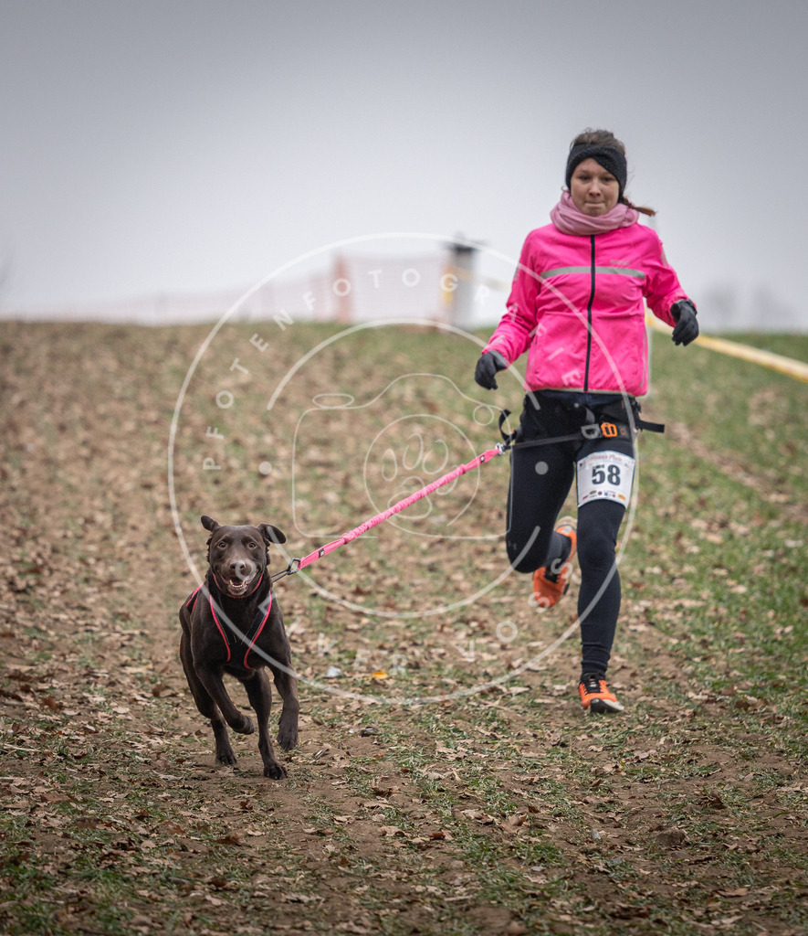 Pfotenfotografie_DV3A1823 | Hundefotografie, Tierfotograf, Pfotenfotografie, Fotoshooting Hund, Hunde Portrait, Hundesport, Hundeportraits, Heideshooting, Hunde, Sportfotograf, Hundefotograf, Turnierhundsport, THS,  - Realisiert mit Pictrs.com