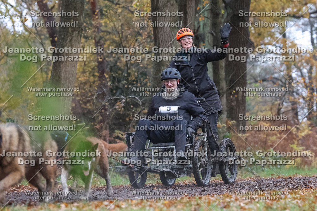 Dog Paparazzi - Ströhen 25-7 | Dog Paparazzi Jeanette Grottendiek Fotografie & Videografie