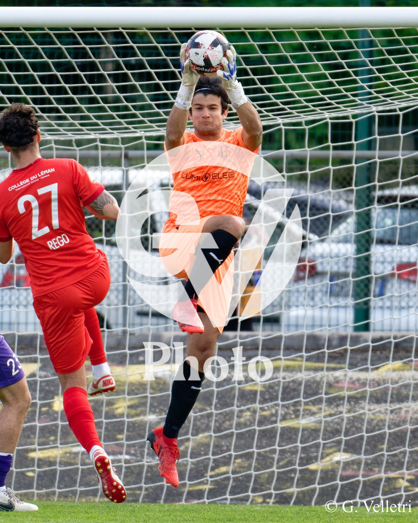 DSC_8175 | Velletri Photo