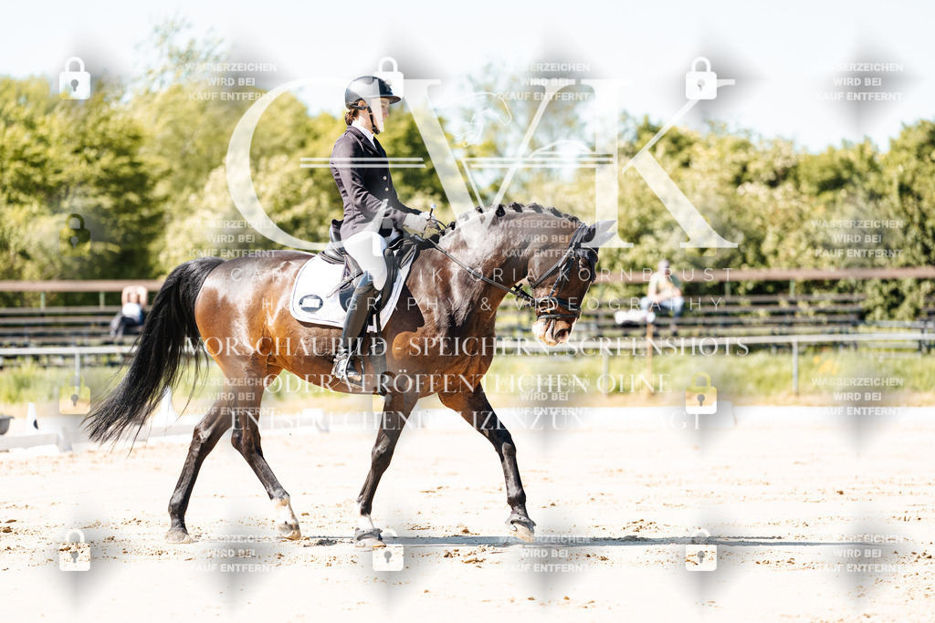 CK905053 | Turnierfotografie Pferdefotografie Trier Rheinland-Pfalz Pferdesport Reitsport Tierfotografie Sportfotografie Pferdevideo Pferdevideografie Equestrianvideography equestrianphotography  - Realisiert mit Pictrs.com