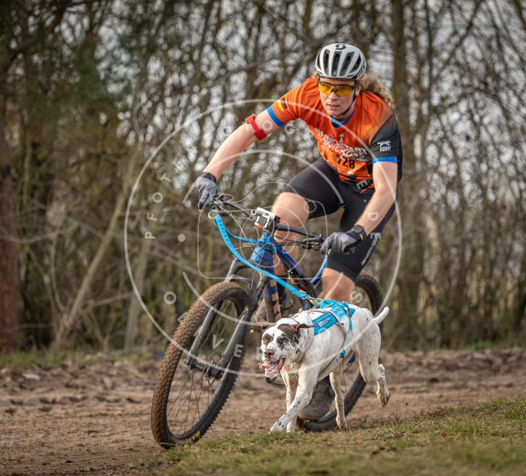 Pfotenfotografie_DV3A8191 | Hundefotografie, Tierfotograf, Pfotenfotografie, Fotoshooting Hund, Hunde Portrait, Hundesport, Hundeportraits, Heideshooting, Hunde, Sportfotograf, Hundefotograf, Turnierhundsport, THS,  - Realisiert mit Pictrs.com