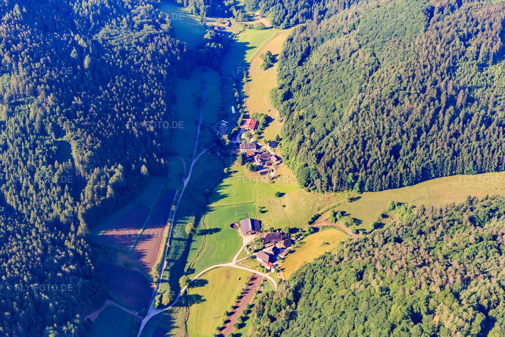Luftbild: Sohlbachtal mit Schwarzwaldhöfen in Seelbach im Bundesland Baden-Württemberg in Deutschland. Foto: IMG_147734.jpg vom 30.05.2025 durch Werner Riehm/FLY-FOTO.de