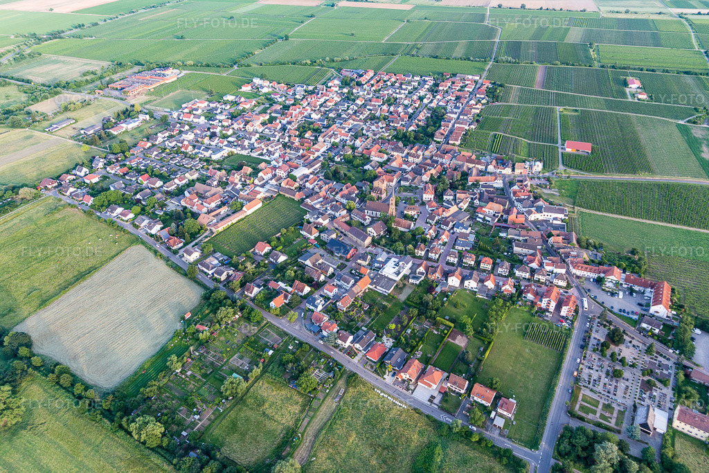 Luftbild: Landwirtschaftliche Nutzflächen und Feldgrenzen umsäumen das Siedlungsgebiet des Dorfes in Ruppertsberg im Bundesland Rheinland-Pfalz in Deutschland. Foto: IMG_107746.jpg vom 03.06.2018 durch Werner Riehm/FLY-FOTO.de