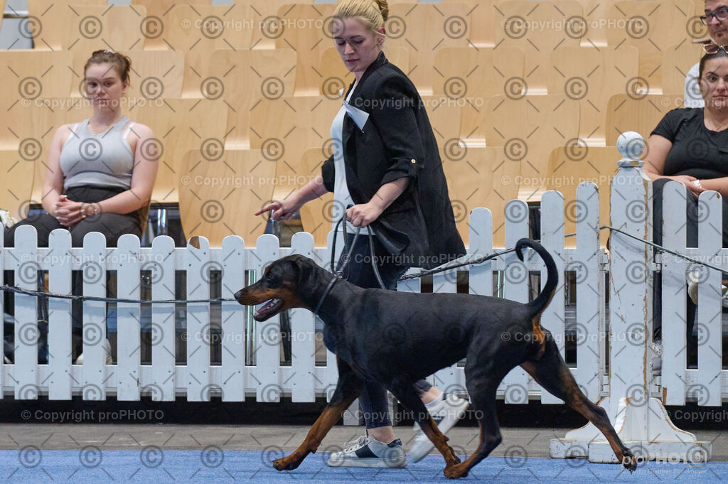 202406_ÖKV-IHA-Tulln24_DSC_5308 | proPHOTO - Realisiert mit Pictrs.com