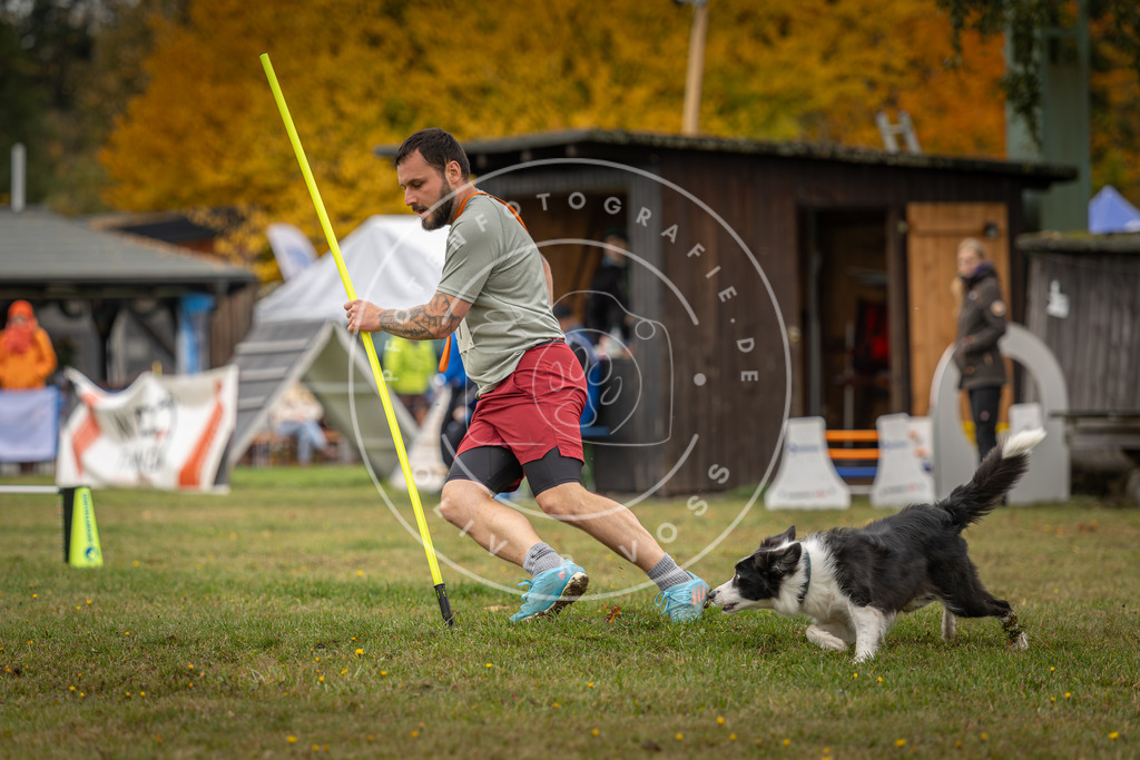 Pfotenfotografie_DV3A4938 | Hundefotografie, Tierfotograf, Pfotenfotografie, Fotoshooting Hund, Hunde Portrait, Hundesport, Hundeportraits, Heideshooting, Hunde, Sportfotograf, Hundefotograf, Turnierhundsport, THS,  - Realisiert mit Pictrs.com