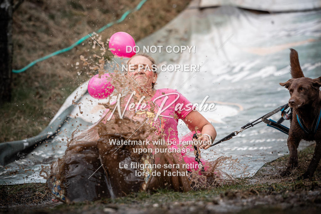 nelerasche_1330-1400_168 | nelerasche