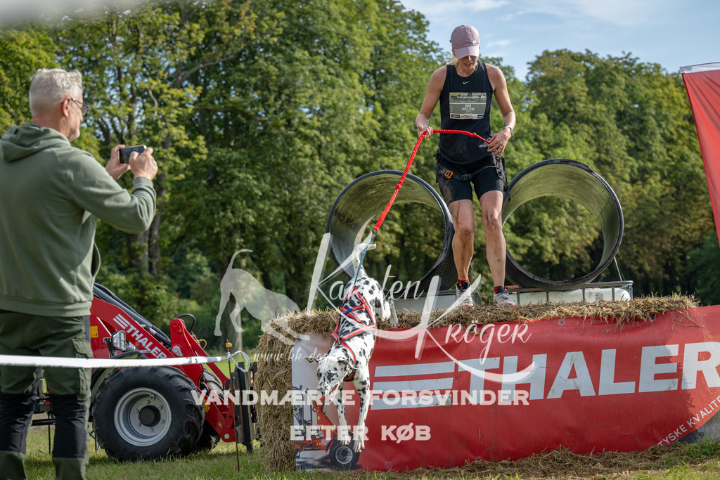 0932_ZZ90610 | kk-dogfotos