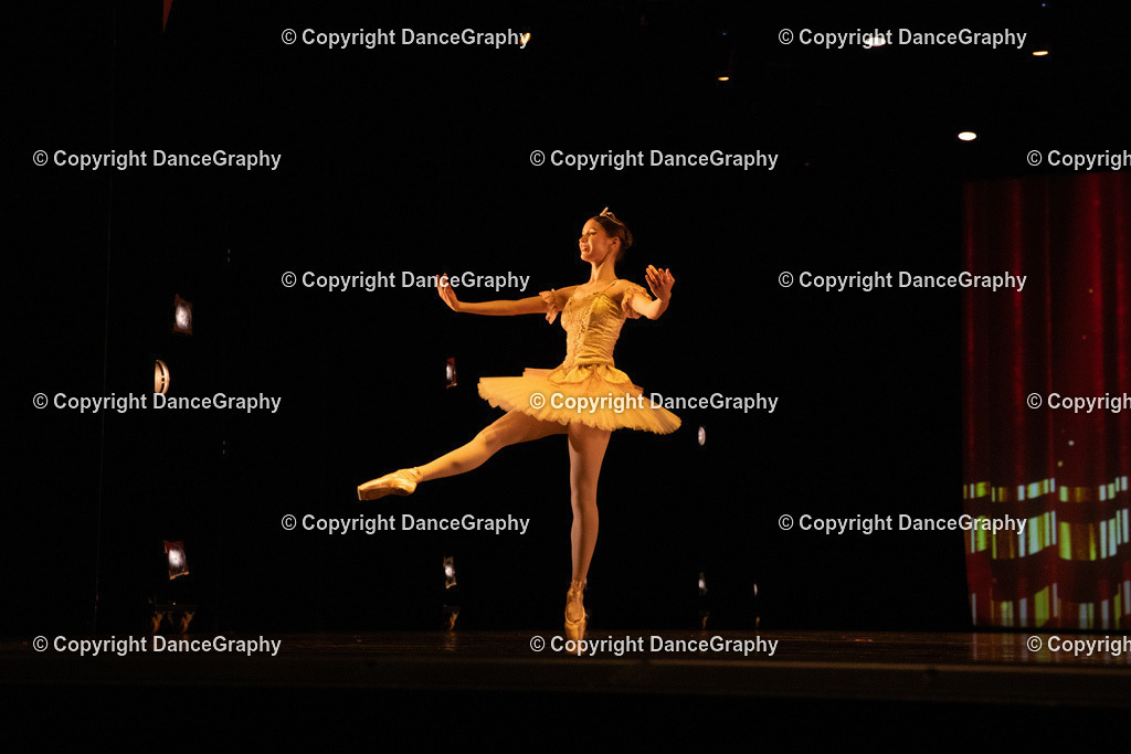 GPHY6894 | DanceGraphy - Realisiert mit Pictrs.com