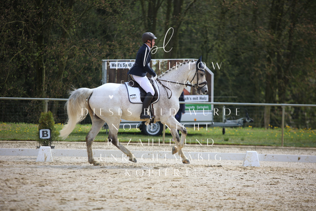 IMGT3271 | pl-fotografie