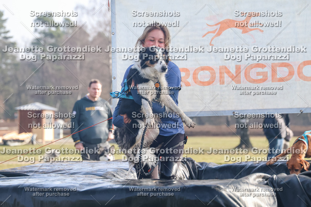 Dog Paparazzi - Strongdog North Mrz26-117 | Dog Paparazzi Jeanette Grottendiek Fotografie & Videografie - Realisiert mit Pictrs.com