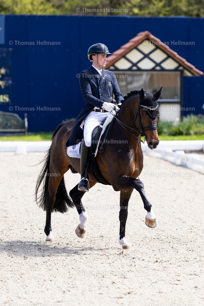 TH_333-WANDRES Frederic (GER)_ Fänomen de Malleret_36616 | Horses &amp; Dreams 2026 am 26.04.26 in Hagen a.T.W., Thomas Hellmann, 333WANDRES Frederic (GER), Fänomen de Malleret