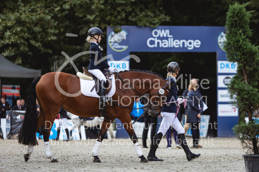 240915_OWLCh_FuehrzuegelWB-609 | Deine schönsten Turniermomente als professionelle Fotos! Entdecke hochwertige Pferdesport-Fotografie im Online-Shop. Jetzt Fotos finden & bestellen!