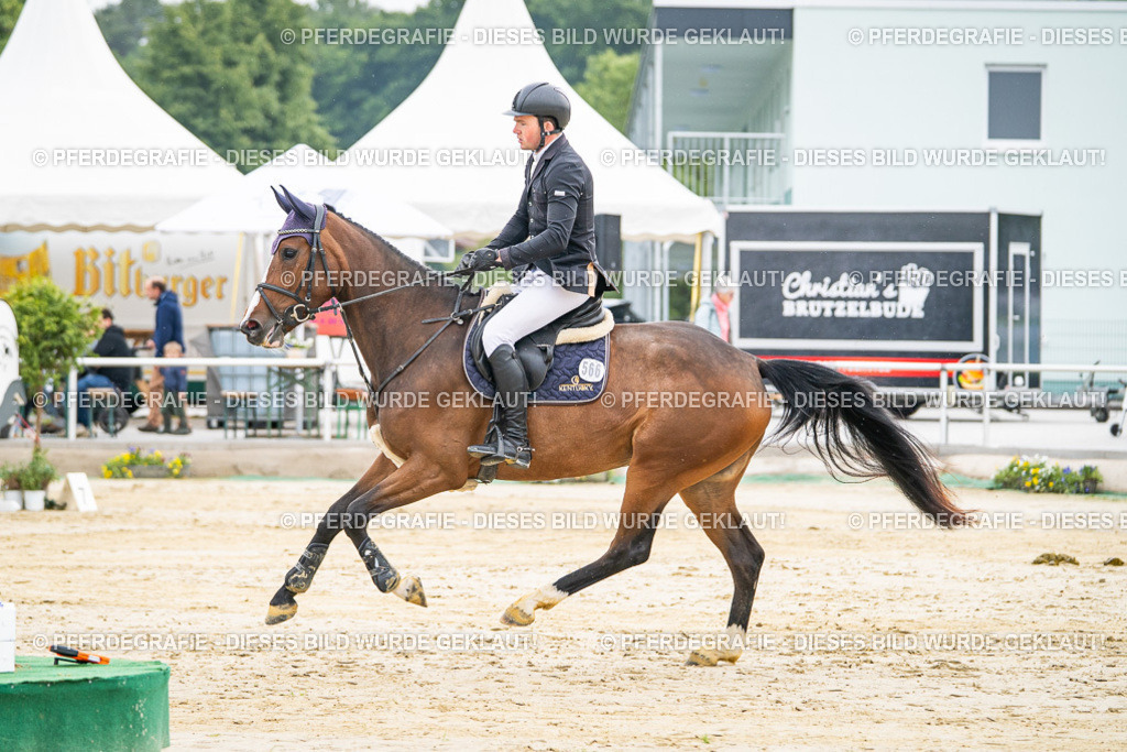 DSC09362 | Pferdegrafie